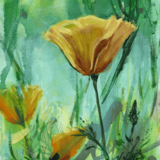 Entry image for Nature's Eloquence