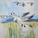 Entry image for Spring Arrivals 