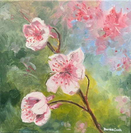 Entry image for Cherry Blossom. Clicking this image will show a larger photo