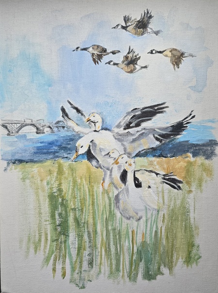 Entry image for Spring Arrivals . Clicking this image will show a larger photo