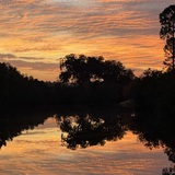 Entry image for Sunset Oak