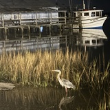 Entry image for Amy Morgan 
