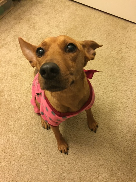 Skye