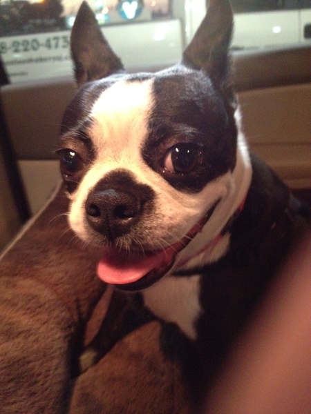 Lola