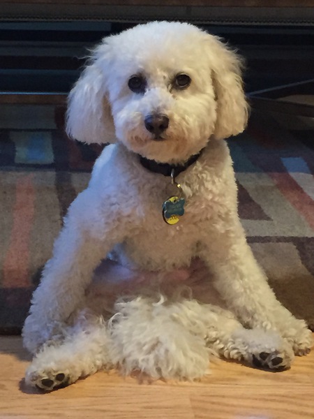 Cooper Kane