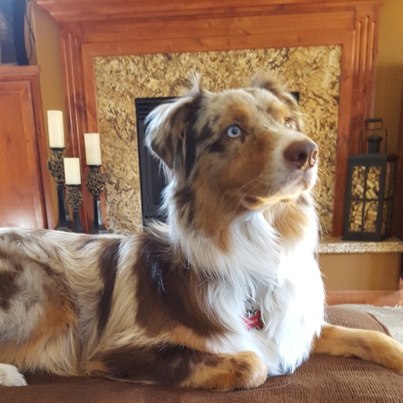 Charley