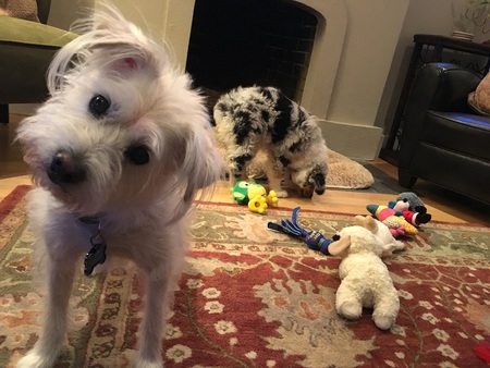 Chloe and Magnolia