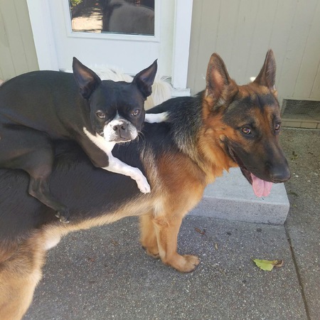 Darwin and Minnie