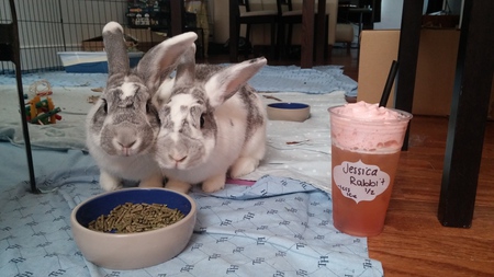 Mango & Lychee