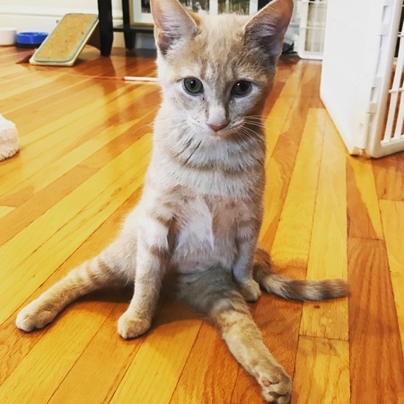 Chloe