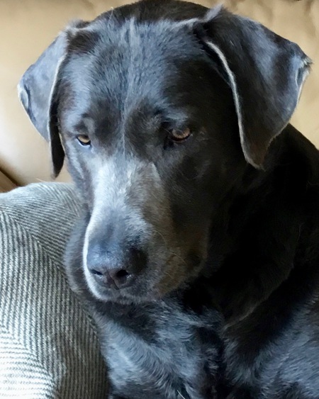 Mirabelle