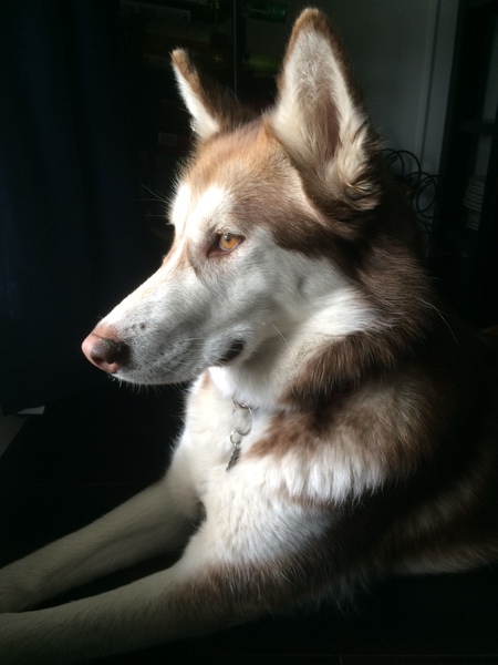 Ripley