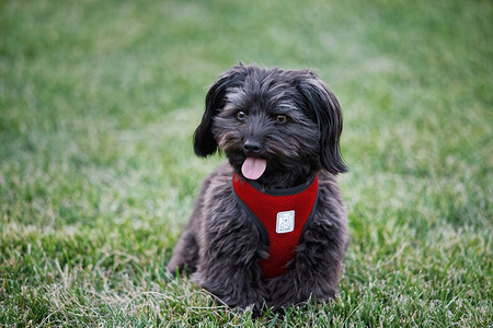 Tucker