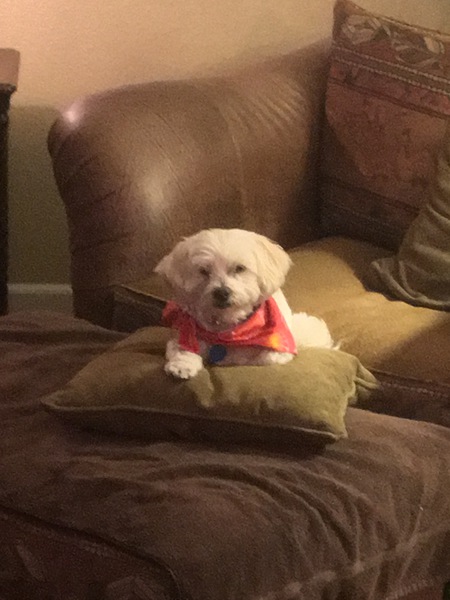 Winnie 