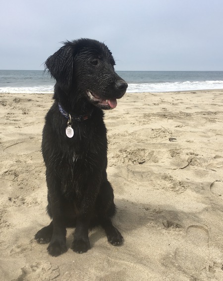 Charley