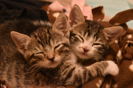Sage & Nutmeg