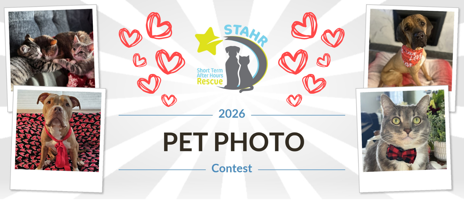 Banner for 2026 STAHR Pet Photo Contest