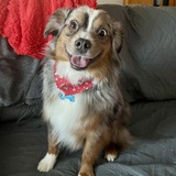 Entry image for Maverick