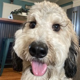 Entry image for Cosmic Pop Light Blue Sparkle