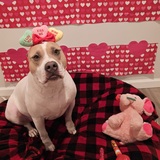 Entry image for Fiona