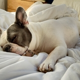 Entry image for Tila Tequila 