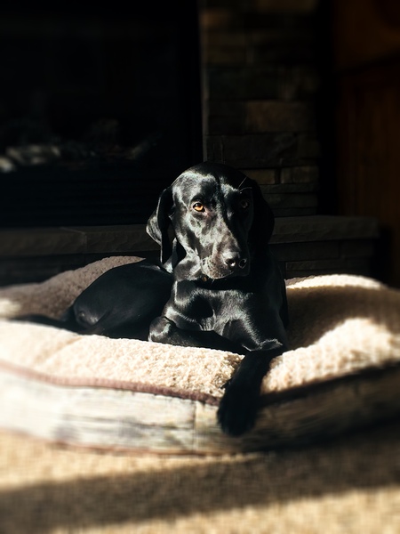 Entry image for Sarah. Clicking this image will show a larger photo