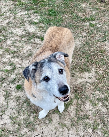 Entry image for Marty. Clicking this image will show a larger photo