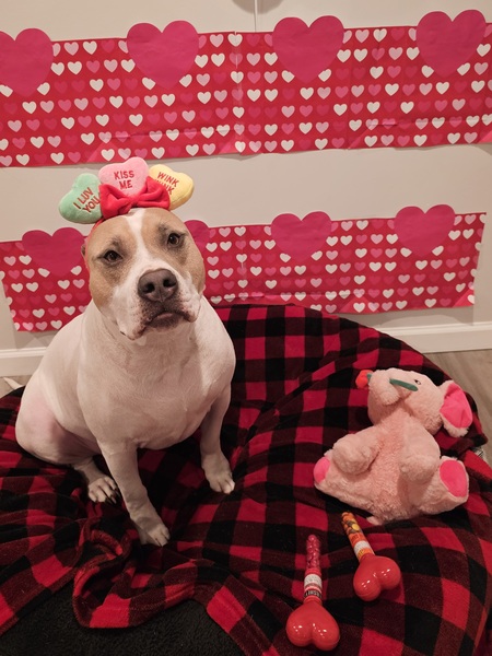 Entry image for Fiona. Clicking this image will show a larger photo