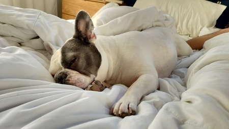 Entry image for Tila Tequila . Clicking this image will show a larger photo