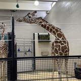 Entry image for Resourceful resting 