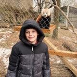 Entry image for Red panda experience