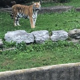 Entry image for Oh My 