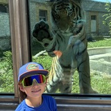 Entry image for High Five