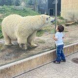 Entry image for Joey’s favorite stuffed animal!