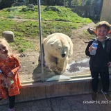 Entry image for Having a Beary Good Time!