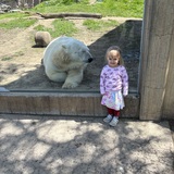 Entry image for Zoo day