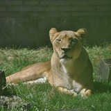 Entry image for Soakin up the sun