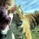 Entry image for Poppy Rose! 