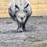 Entry image for Majestic!