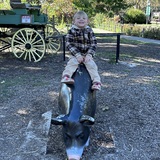 Entry image for Loving the Zoo!