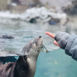 Entry image for “Boop!”