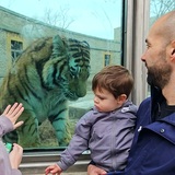 Entry image for Hey you!