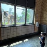 Entry image for Here, kitty kitty 