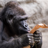 Entry image for How Much Did That Cost