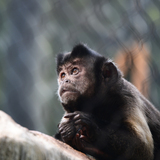 Entry image for Unbelievable 