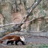 Entry image for Too cute!