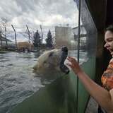 Entry image for Bear with Me