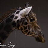 Entry image for Stand Tall 