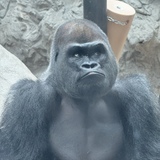 Entry image for Deep In Thought 