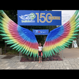 Entry image for Rainbow Wings
